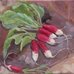 Radishes